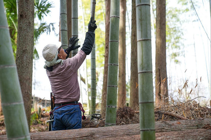 BAMBOOMINERALランドリーソープ【リフィル】オーガニックフォレストの香り 4