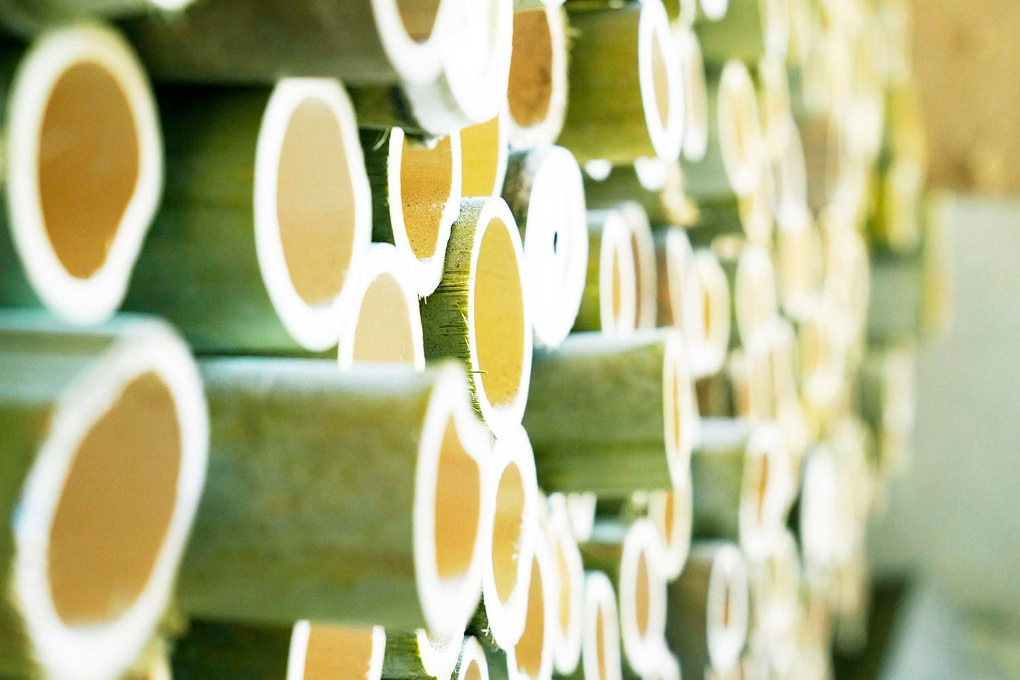 BAMBOOMINERALランドリーソープ【リフィル】オーガニックフォレストの香り 5