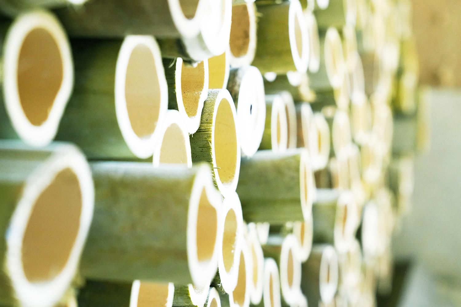 BAMBOOMINERALランドリーソープ【リフィル】オーガニックフォレストの香り 5