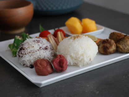 ＜1616 / arita japan＞TY Square Plate [270]