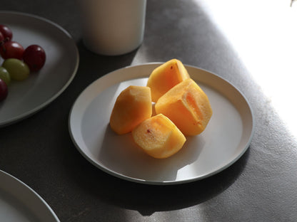 ＜1616 / arita japan＞TY Round Plate [160]